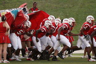 九游体育网页版-球迷助威声点燃比赛氛围，球迷助威口号