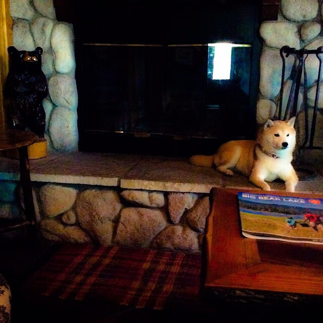 九游官网下载app下载-_热火防守铁壁，战绩连战不断征战_，热火防守悍将