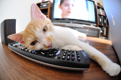 九游电竞-“高精度追踪系统：开启极限运动表现全场景监控新时代”